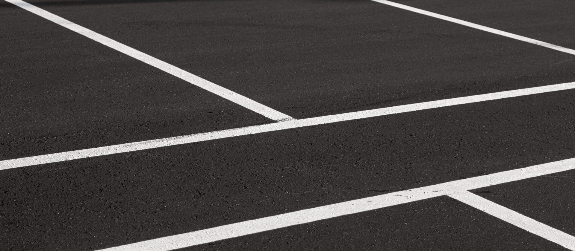 Close-up of freshly marked parking places with white lines